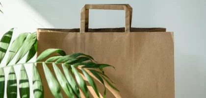 Paper Bag Printing