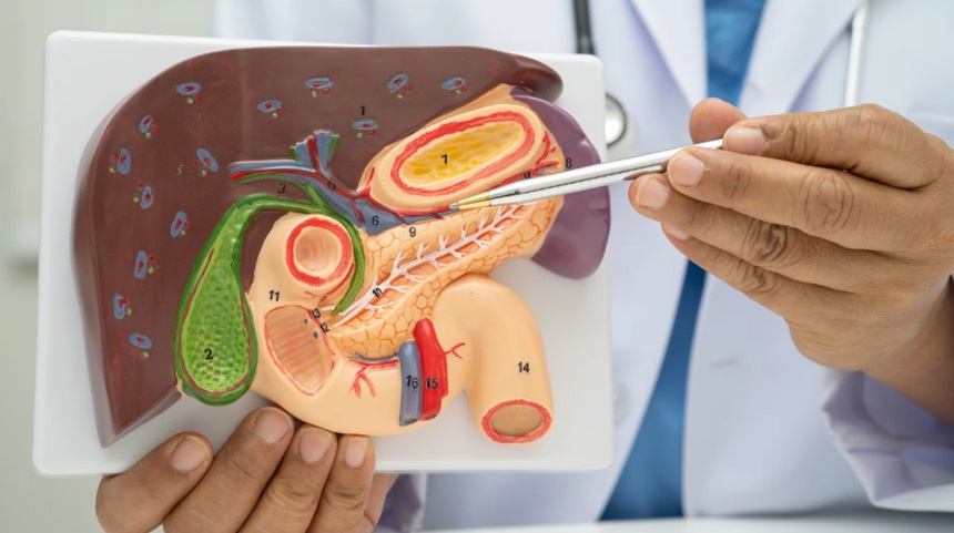 Gallbladder Removal